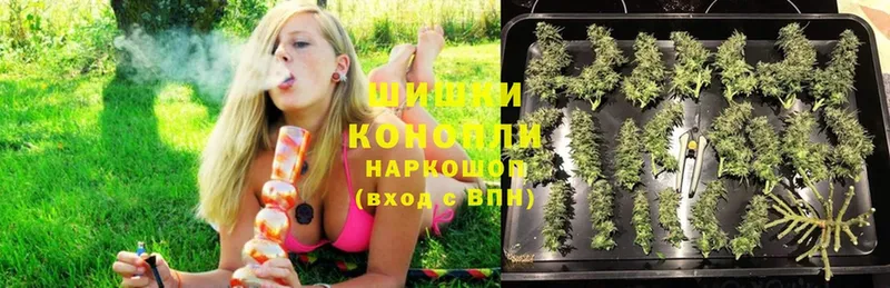 купить наркотик  MEGA ONION  Канабис ГИДРОПОН  Лангепас 